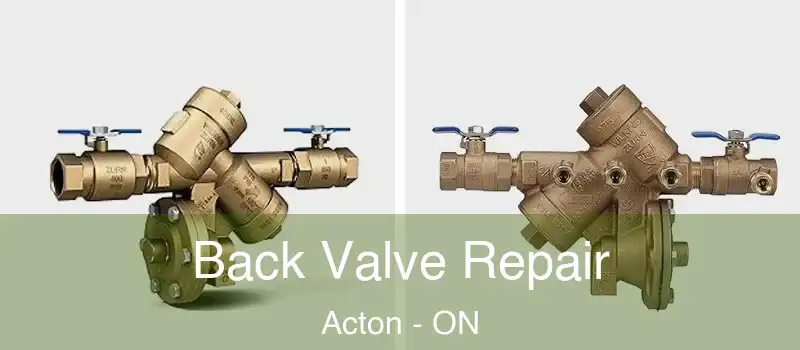 Back Valve Repair Acton - ON