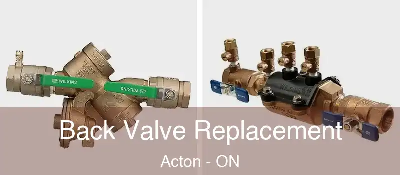 Back Valve Replacement Acton - ON