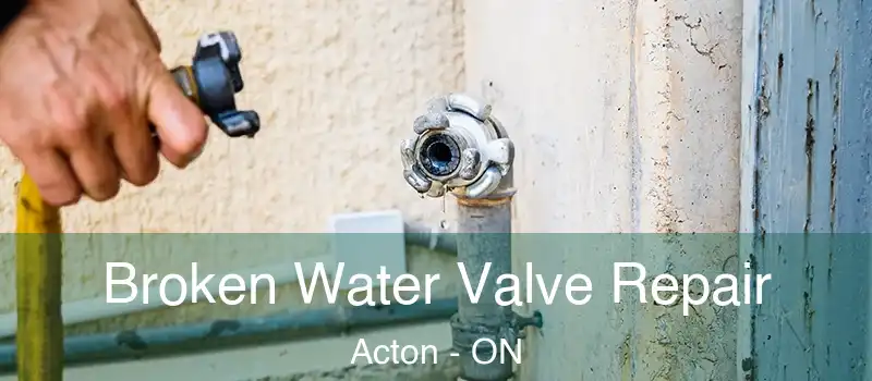 Broken Water Valve Repair Acton - ON