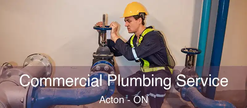 Commercial Plumbing Service Acton - ON