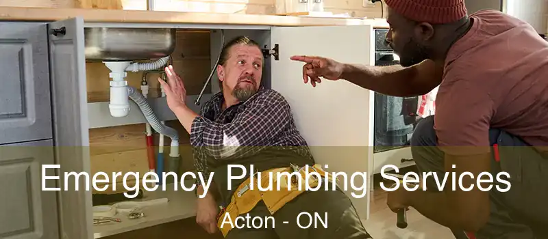 Emergency Plumbing Services Acton - ON