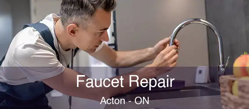 Faucet Repair Acton - ON