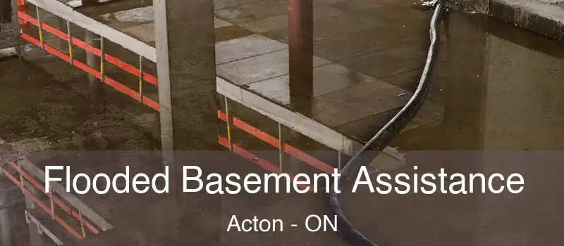 Flooded Basement Assistance Acton - ON