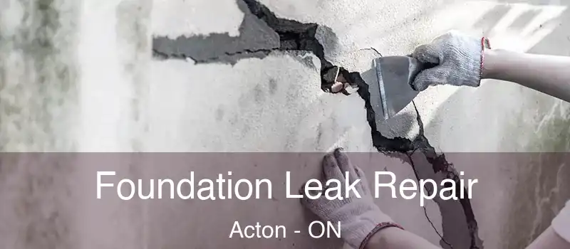 Foundation Leak Repair Acton - ON