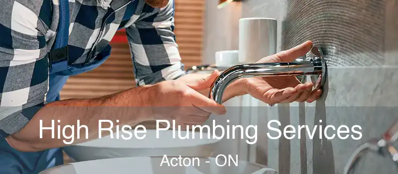 High Rise Plumbing Services Acton - ON