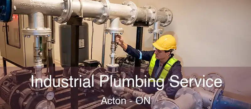 Industrial Plumbing Service Acton - ON