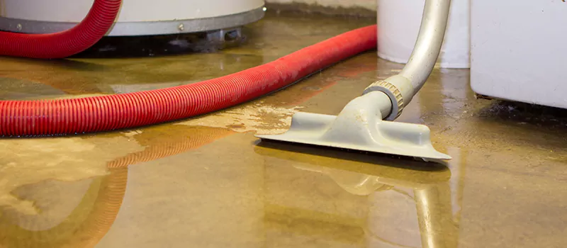 Professional Sewer Backup Cleanup Services in Acton, ON