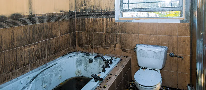 Residential Water Damage Restoration in Acton, ON