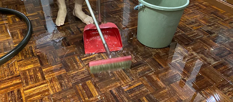 Water Removal And Restoration Services in Acton, ON