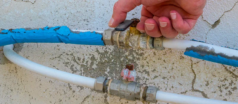 Ceiling Water Damage Repair in Acton, Ontario