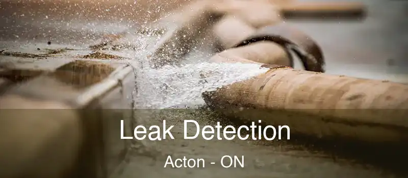 Leak Detection Acton - ON