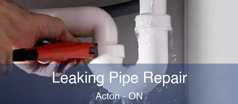 Leaking Pipe Repair Acton - ON