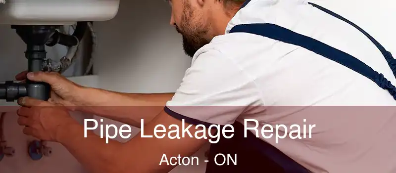 Pipe Leakage Repair Acton - ON