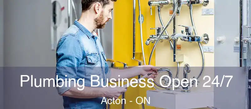 Plumbing Business Open 24/7 Acton - ON