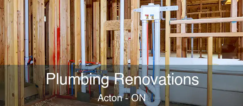 Plumbing Renovations Acton - ON