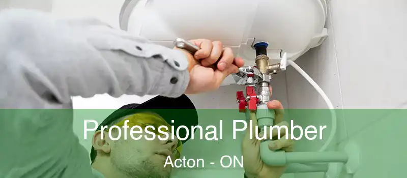 Professional Plumber Acton - ON