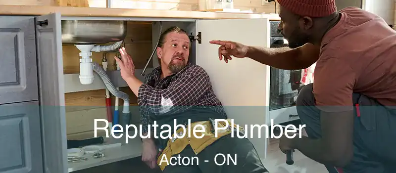 Reputable Plumber Acton - ON