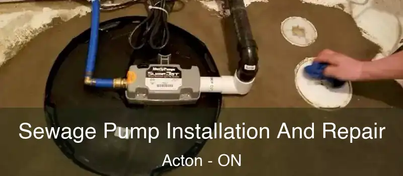 Sewage Pump Installation And Repair Acton - ON