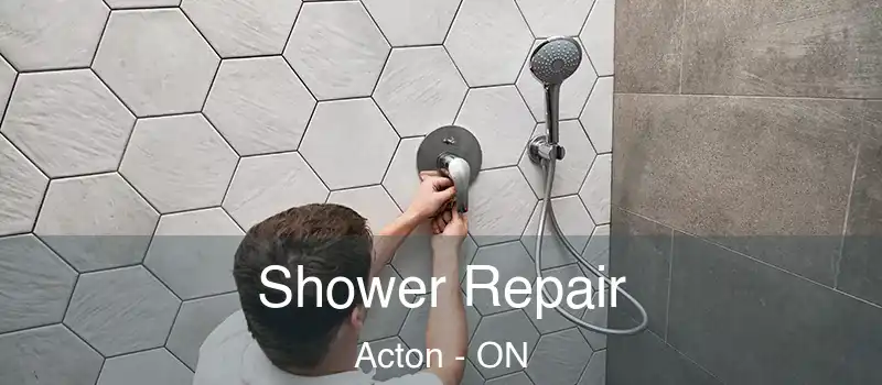 Shower Repair Acton - ON