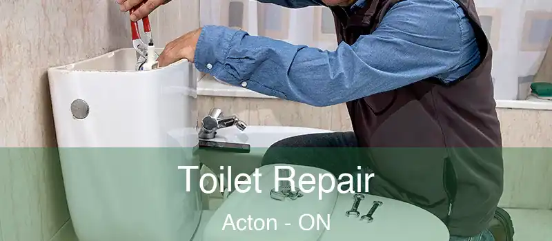 Toilet Repair Acton - ON