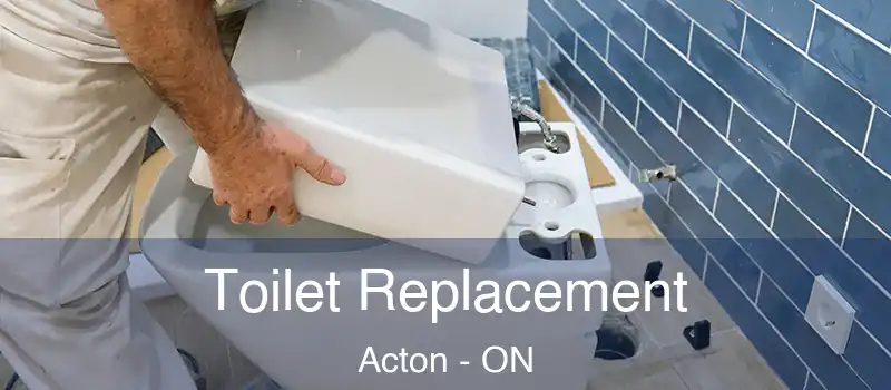 Toilet Replacement Acton - ON