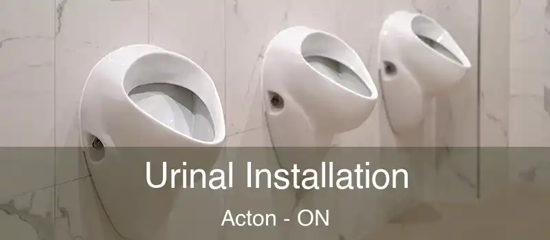 Urinal Installation Acton - ON
