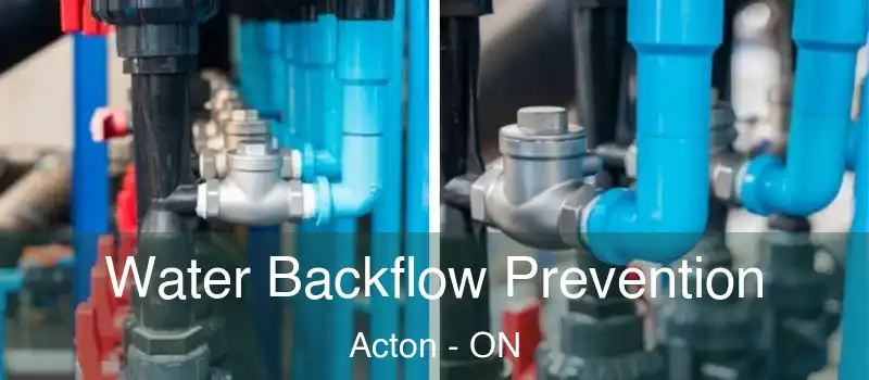 Water Backflow Prevention Acton - ON
