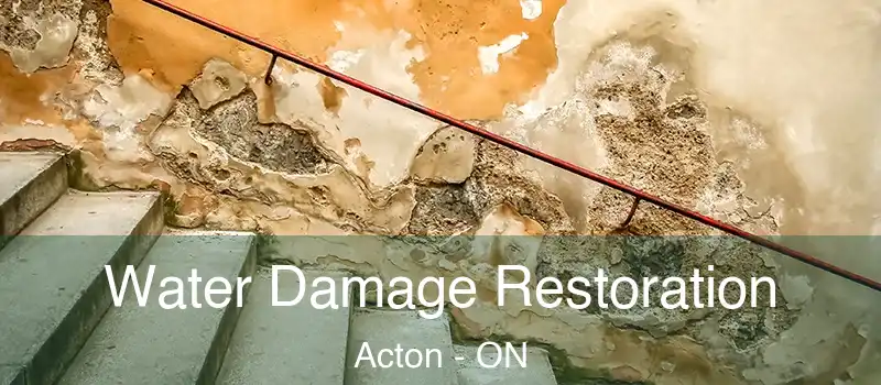 Water Damage Restoration Acton - ON