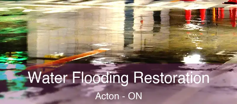 Water Flooding Restoration Acton - ON