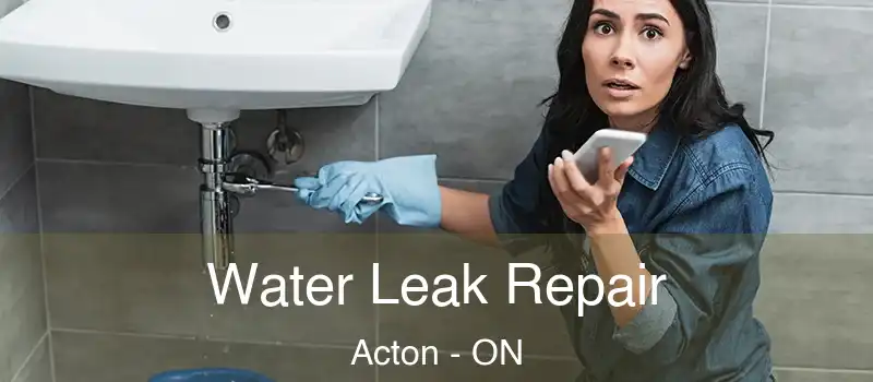 Water Leak Repair Acton - ON