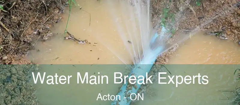 Water Main Break Experts Acton - ON