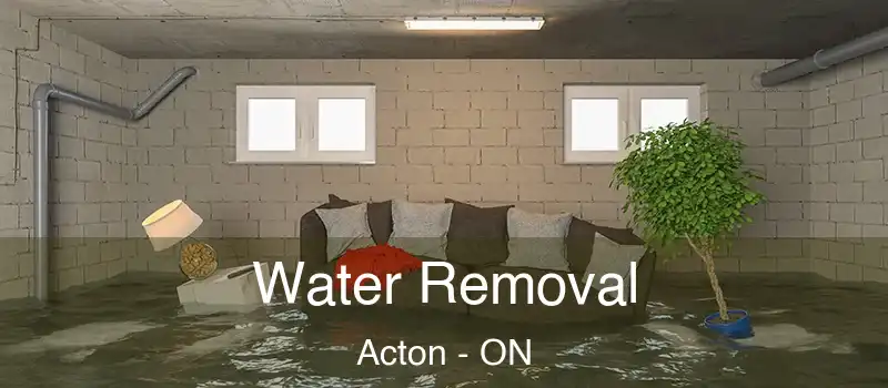 Water Removal Acton - ON