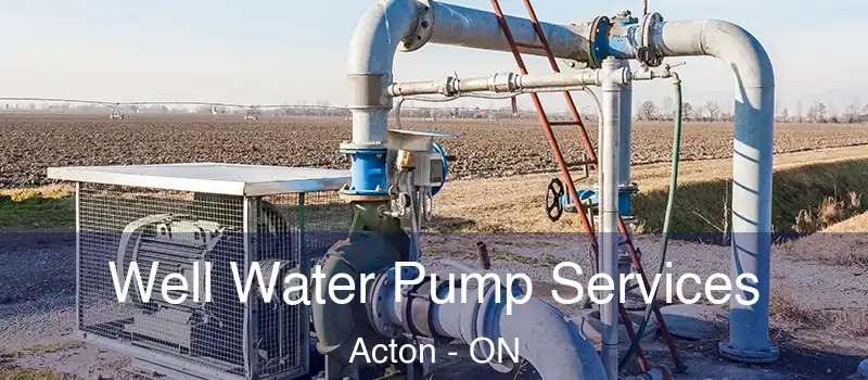 Well Water Pump Services Acton - ON